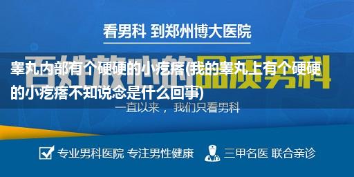 睾丸内部有个硬硬的小疙瘩(我的睾丸上有个硬硬的小疙瘩不知说念是什么回事)