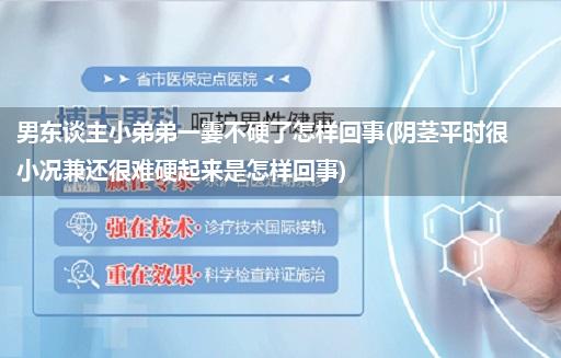 男东谈主小弟弟一霎不硬了怎样回事(阴茎平时很小况兼还很难硬起来是怎样回事)