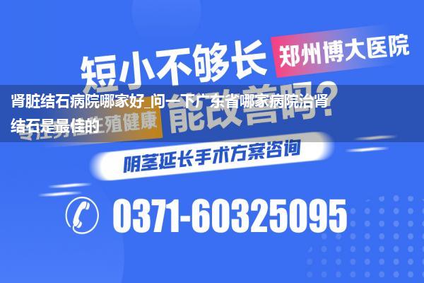 肾脏结石病院哪家好_问一下广东省哪家病院治肾结石是最佳的