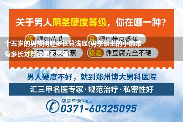 十五岁的男孩阴胫多长算浅显(男东谈主的小弟弟有多长才算浅显不算蛋)