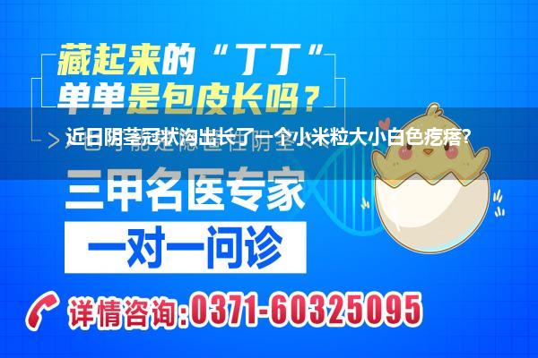 近日阴茎冠状沟出长了一个小米粒大小白色疙瘩?